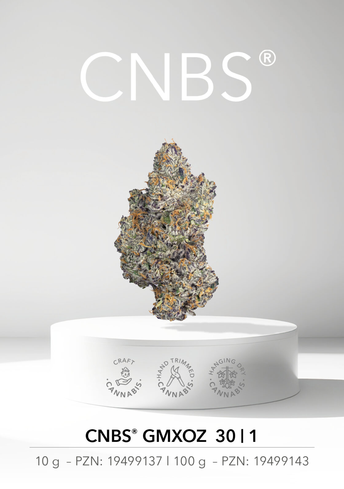 CNBS® GMXOZ 30 | 1