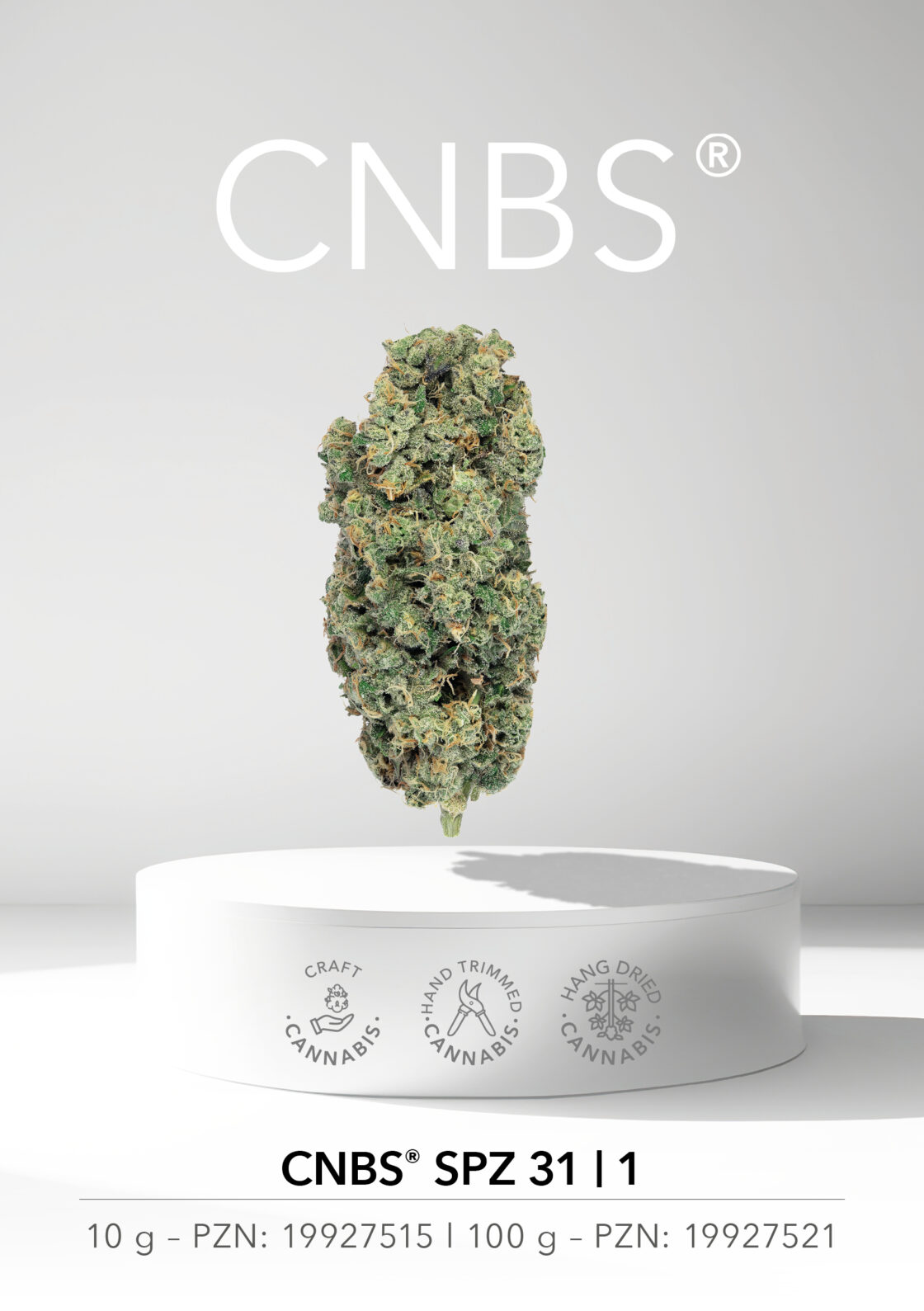 CNBS® SPZ 31 | 1